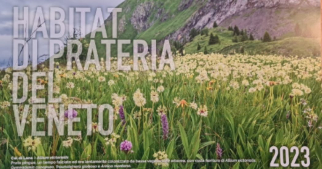 Il paradosso di Regione Veneto: vuole far sorgere il villaggio olimpico per 1.200 persone sul pratone che definisce “scrigno di biodiversità da tutelare”