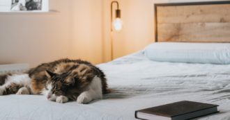 Copertina di “Più crampi e spasmi alle gambe per il proprietari di gatti, maggiori difficoltà a dormire invece per chi ha cani”: il nuovo studio