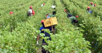 Copertina di Tre storie indiane, due braccianti morti, un dibattito surreale