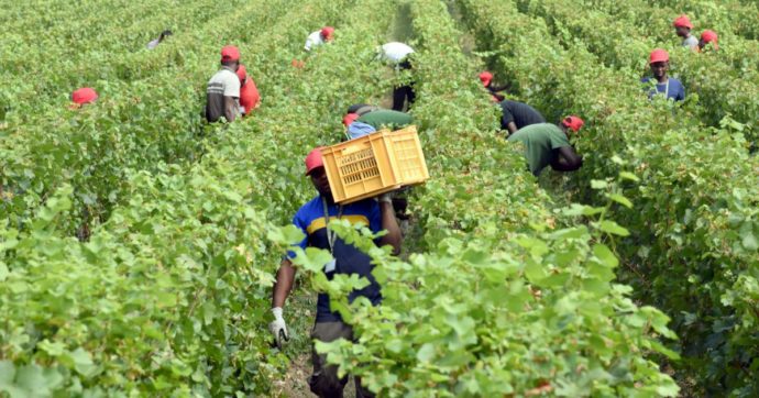 Tre storie indiane, due braccianti morti, un dibattito surreale