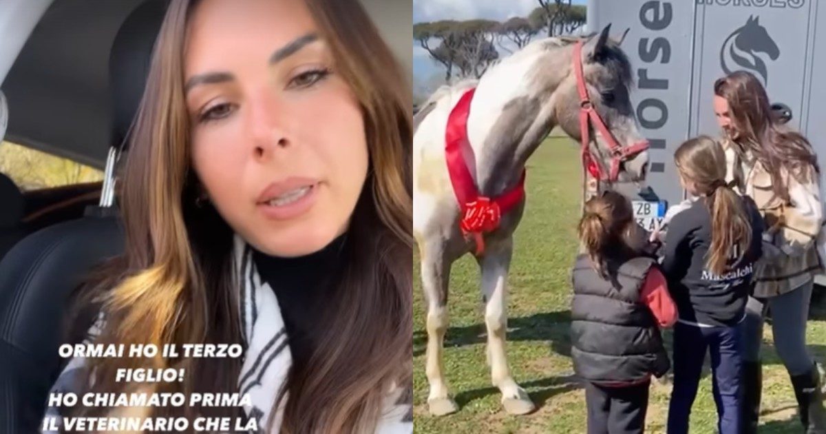 Micol Olivieri parla del tumore del suo cavallo Zucchero: “Per me è come un terzo figlio. Quando ha iniziato a sanguinare mi sono impressionata”