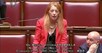 Copertina di Trentino, la deputata Brambilla in Aula: “Non facciamo pagare agli orsi gli errori della politica. Affidiamoci a chi è competente”