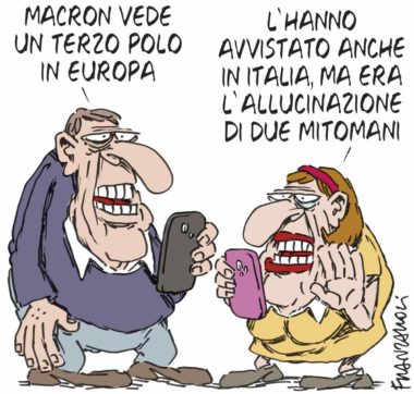 Copertina di La vignetta di Franzaroli