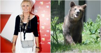 Copertina di Licia Colò: “L’orsa che ha ucciso Andrea Papi non va abbattuta ma solo spostata: siamo noi che l’abbiamo messa lì”