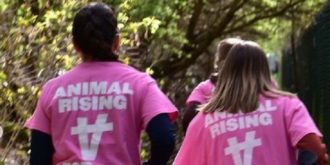 Copertina di Liverpool, attivisti di Animal Rising fanno irruzione nell’ippodromo per salvare i cavalli: 118 arresti