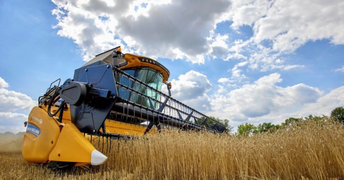 “Grano di Kiev, lo stop è illegale”: la Ue bacchetta Polonia & C.