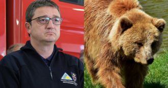 Copertina di Il Tar di Trento sospende l’uccisione degli orsi Jj4 e Mj5: tempo fino al 27 giugno per presentare proposte di trasferimento
