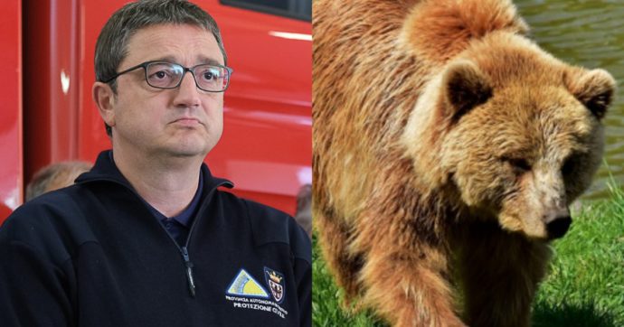 Il Tar di Trento sospende l’uccisione degli orsi Jj4 e Mj5: tempo fino al 27 giugno per presentare proposte di trasferimento