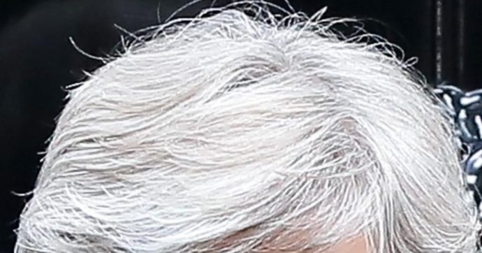 Ecco perché i capelli diventano grigi: la (possibile) risposta in uno studio sulla rivista Nature