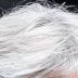 Copertina di Addio tinta? Adesso la scienza “spegne” i capelli bianchi. La rivoluzione parte (anche) dall’Italia: come funziona il metodo innovativo