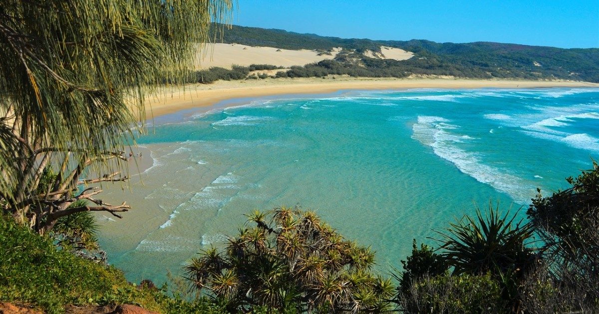 Fraser Island, l’isola paradisiaca è in realtà la più pericolosa al mondo: ecco perché non è una buona meta per le vacanze