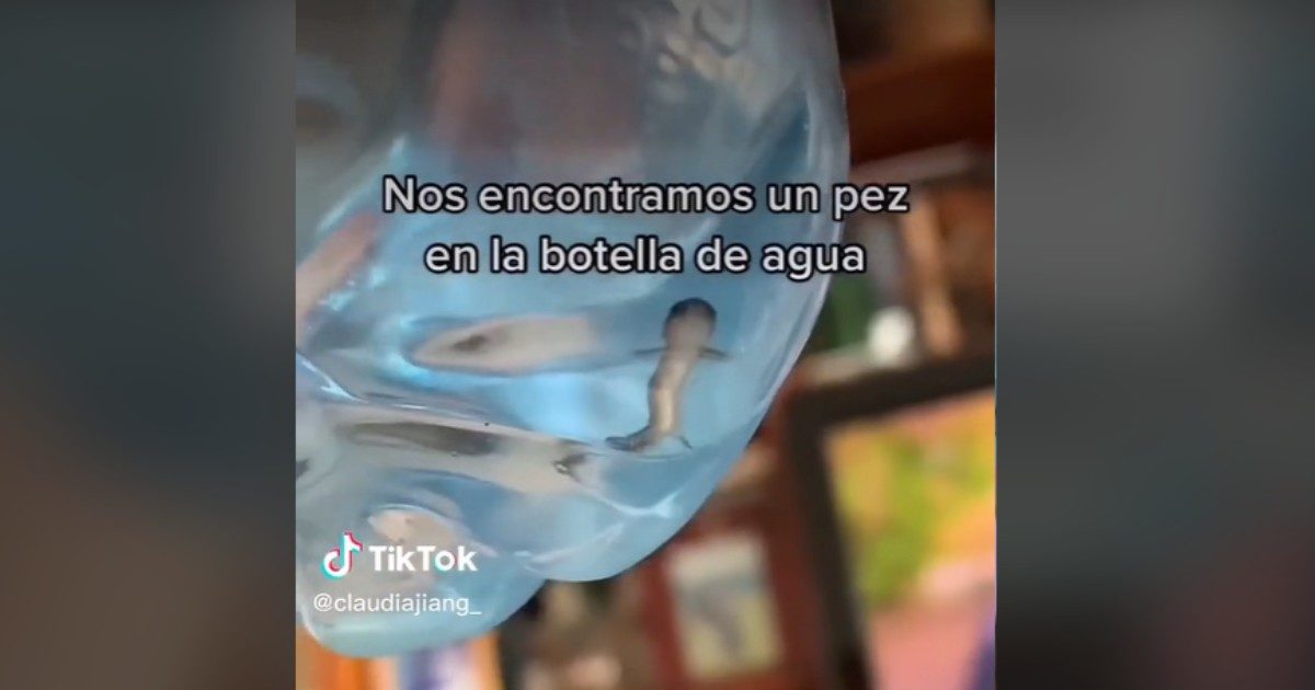 “Ho visto qualcosa muoversi nella bottiglia d’acqua”. La scoperta choc della tiktoker: “Era una salamandra”