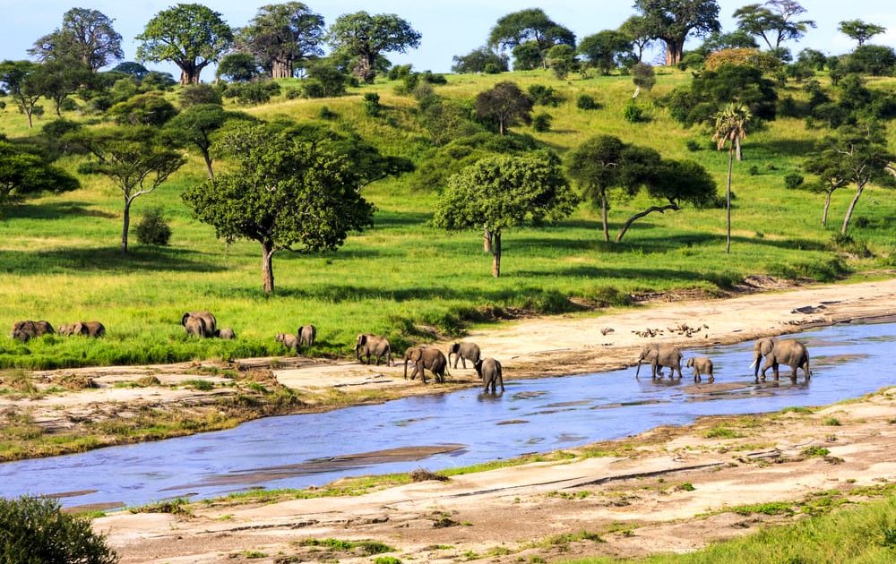 Tanzania, un viaggio “Green Soul” nel Parco Nazionale del Serengeti