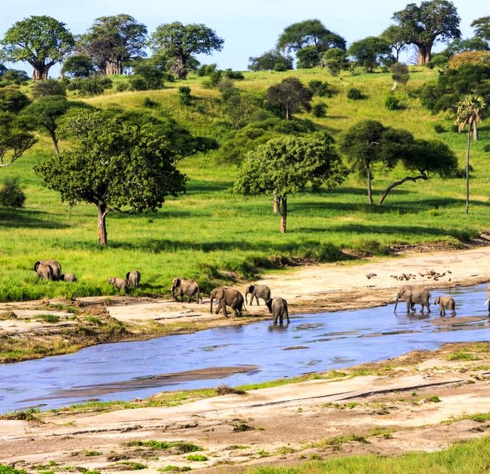 Tanzania, un viaggio “Green Soul” nel Parco Nazionale del Serengeti