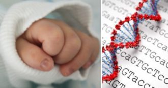 Copertina di Nel Regno Unito i primi bambini con il Dna di “tre genitori”: così si evita che i neonati ereditino malattie incurabili