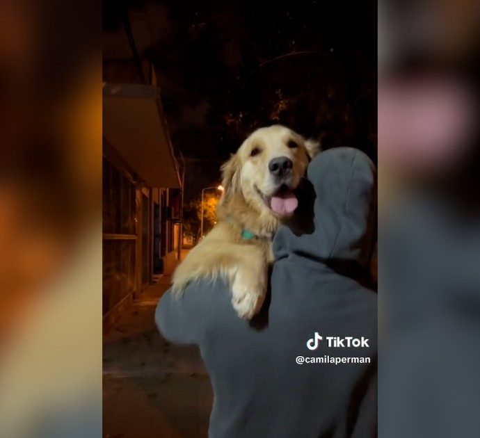 Il cane rivede l’ex fidanzato della padrona dopo un anno e mezzo: la reazione è spettacolare