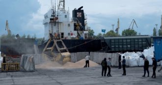 Copertina di Grano, paletti Ue all’export Kiev: “Impatto distruttivo”