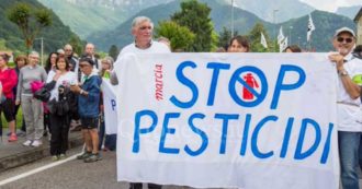 Copertina di A Treviso e Bolzano agricoltori in marcia per dire basta all’uso di pesticidi: “Non si può morire lavorando, la politica ci ascolti”