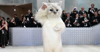 Copertina di Met Gala 2023, Jared Leto si presenta sul red carpet vestito da gatto e nessuno lo riconosce: “Ma chi è questo?” – VIDEO