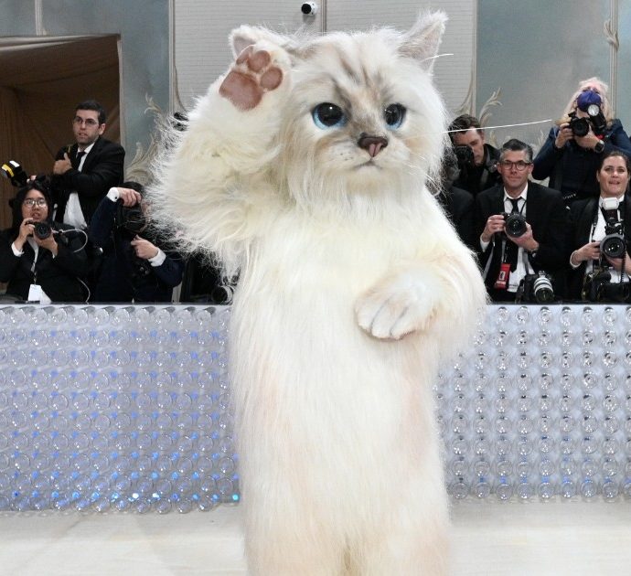 Met Gala 2023, Jared Leto si presenta sul red carpet vestito da gatto e nessuno lo riconosce: “Ma chi è questo?” – VIDEO