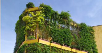 Copertina di Tetti verdi, come combattere l’afa senza usare il condizionatore