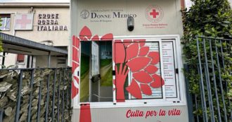 Copertina di Neonata di poche ore lasciata nella culla per la vita a Bergamo. La mamma ha lasciato un biglietto