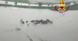 Copertina di In Emilia-Romagna 400 case evacuate, scuole chiuse e treni sospesi per l’alluvione. Crolla casa nel Bolognese
