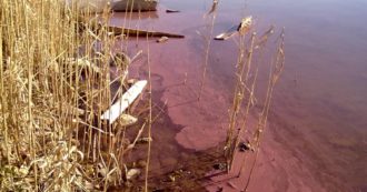 Copertina di Lago di Vico, le acque si tingono di rosso: ambientalisti fanno ricorso al Consiglio di Stato per “tutelare la salute”