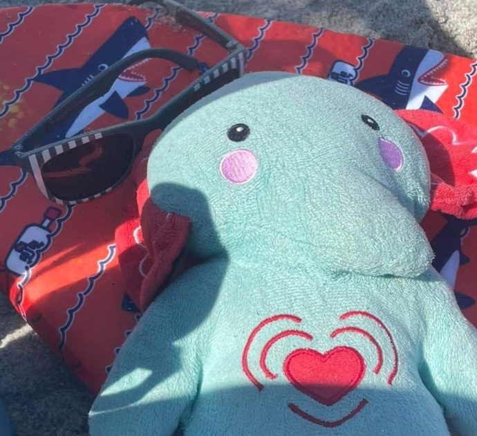 Mamma perde il peluche con le ceneri di suo figlio morto a 7 anni e lancia un appello disperato: “Mi sento male, se lo vedete scrivetemi”