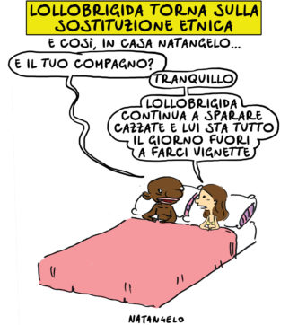 Copertina di La vignetta di Natangelo