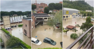 Copertina di Alluvione in Emilia-Romagna, esonda il Savio a Cesena: la città allagata e le auto sommerse – Video