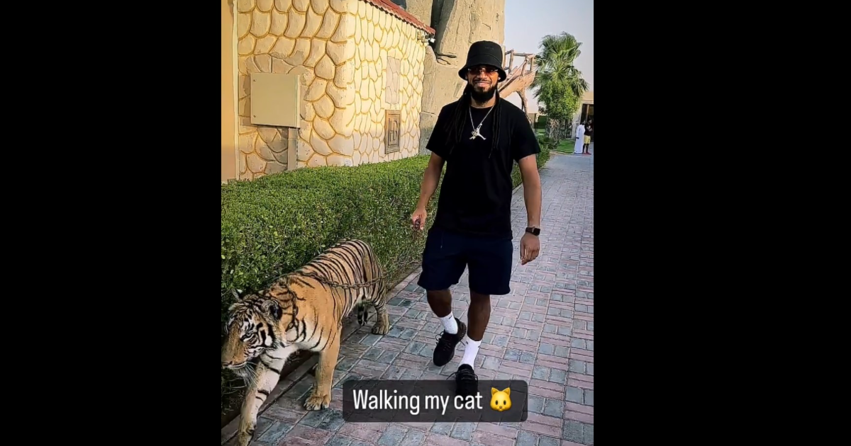 Passeggia con una tigre al guinzaglio: il calciatore Jason Denayer nella bufera
