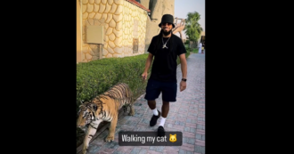Copertina di Passeggia con una tigre al guinzaglio: il calciatore Jason Denayer nella bufera