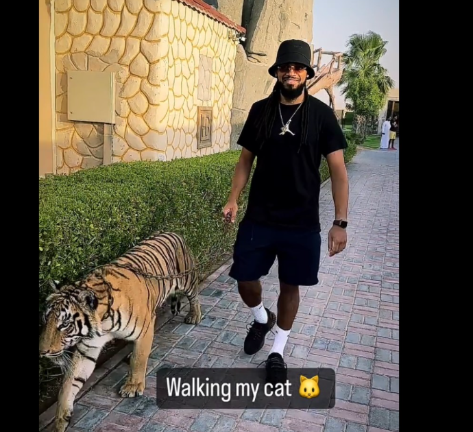 Passeggia con una tigre al guinzaglio: il calciatore Jason Denayer nella bufera