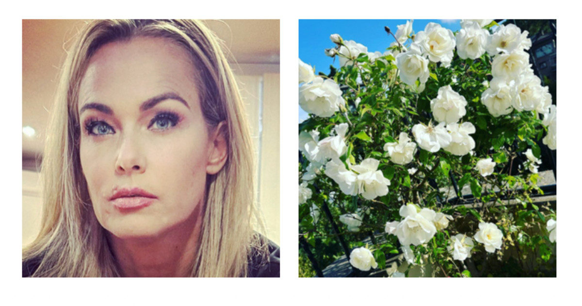 Sonia Bruganelli e il roseto che di solito fiorisce in rosso: “Stavolta è in bianco, vuoi dirci di nuovo qualcosa”. La storia del papà di Paolo Bonolis