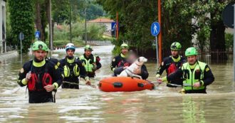 Copertina di “Un’arca di Noè” per gli animali salvati durante l’alluvione in Emilia-Romagna