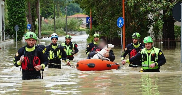 “Un’arca di Noè” per gli animali salvati durante l’alluvione in Emilia-Romagna