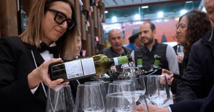 Rischi dell’alcol, l’Italia: no alla legge irlandese