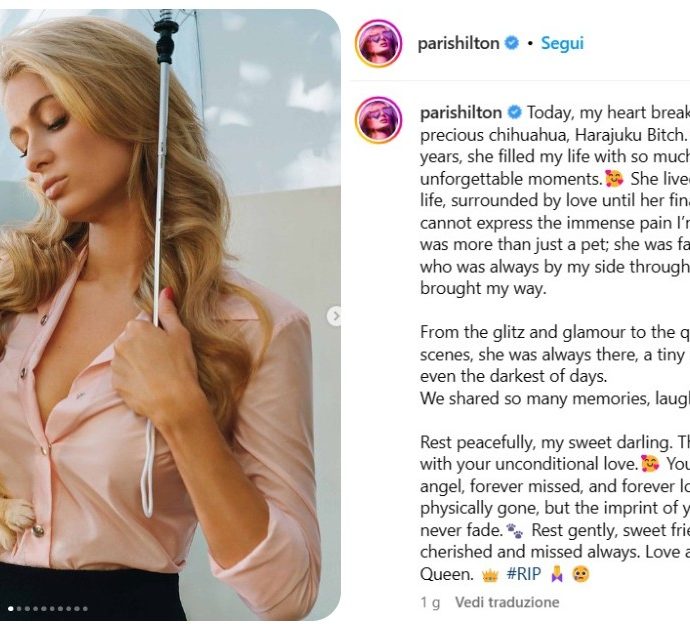 Lutto per Paris Hilton, è morta la sua cagnolina Harajuku Bitch: “Sono sotto choc, siamo state insieme per 23”