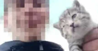 Copertina di “È malato, vabbuò”: ragazzino uccide un gattino lanciandolo nel vuoto in un dirupo. E pubblica tutto su TikTok