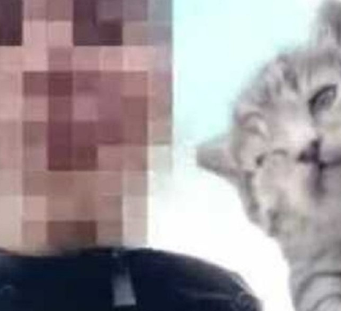 “È malato, vabbuò”: ragazzino uccide un gattino lanciandolo nel vuoto in un dirupo. E pubblica tutto su TikTok