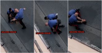 Copertina di Livorno, carabiniere sferra un calcio in faccia a un uomo durante l’arresto. L’Arma lo trasferisce: “Condotta non in linea coi nostri valori” – Video