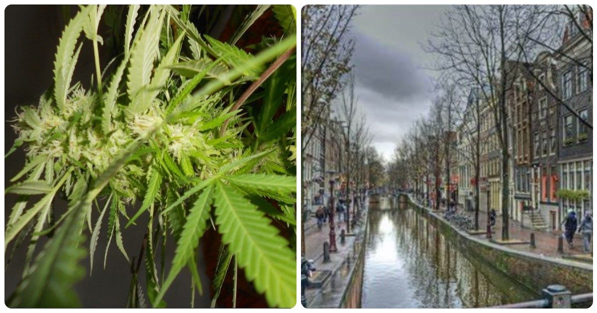 Amsterdam, stretta in arrivo: multa da 100 euro per chi fuma marijuana per le strade del quartiere a luci rosse