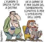 Copertina di La vignetta di Franzaroli