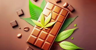 Copertina di Si prepara in casa una tavoletta di cioccolato alla marijuana, la mangia e finisce in ospedale