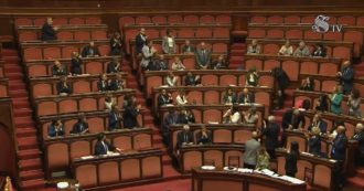 Copertina di Palazzo Madama approva le dimissioni di Cottarelli: applauso in Aula. Il senatore Pd: “Parlamento è baluardo della democrazia”