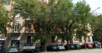 Copertina di A Torino la ‘forestazione urbana’ passa per il taglio di 284 alberi ad alto fusto: una delibera suicida