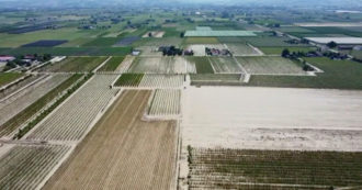 Copertina di Alluvione in Emilia-Romagna, il volo del drone sopra i campi di Faenza ancora ricoperti dal fango: ingenti danni per l’agricoltura