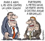 Copertina di La vignetta di Franzaroli