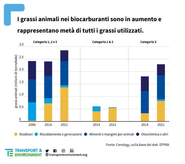 Biocarburanti, l’enorme business che si basa sull’uso dei grassi animali. Cioè sugli scarti dell’insostenibile industria zootecnica | I dati
